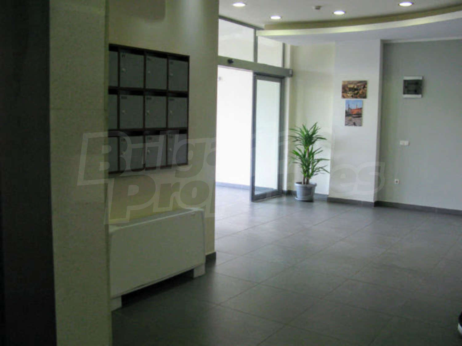 Gallery Picture 15