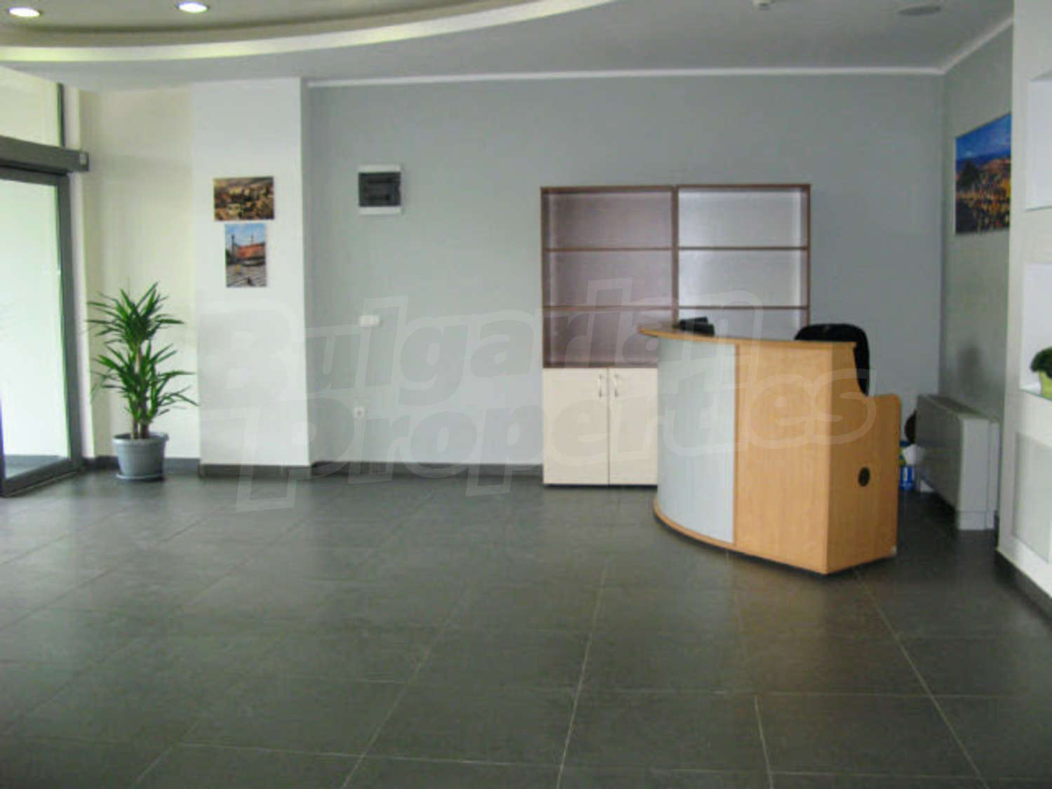 Gallery Picture 16