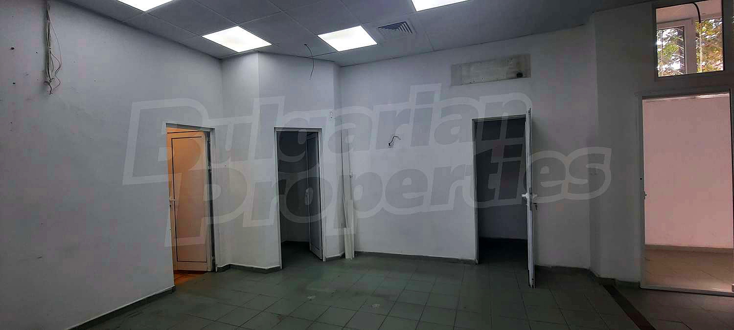Gallery Picture 7