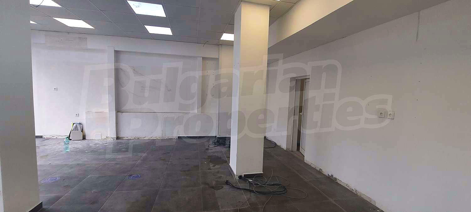 Gallery Picture 11