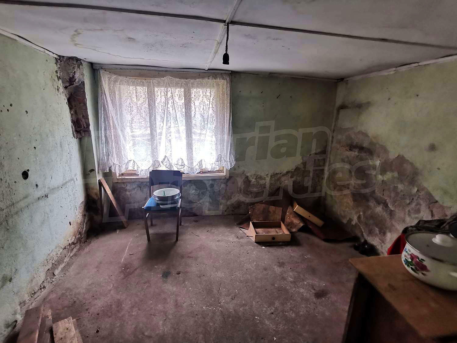 Gallery Picture 16