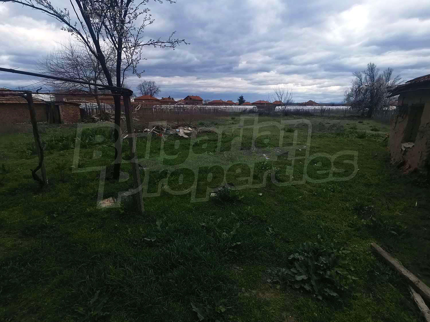 Gallery Picture 19