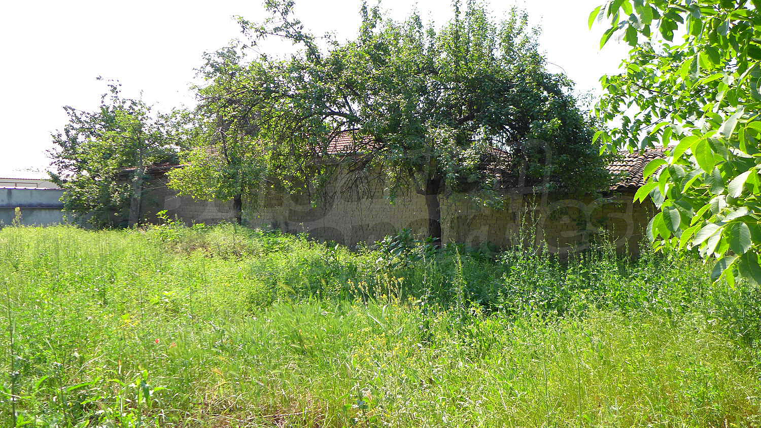 Gallery Picture 32