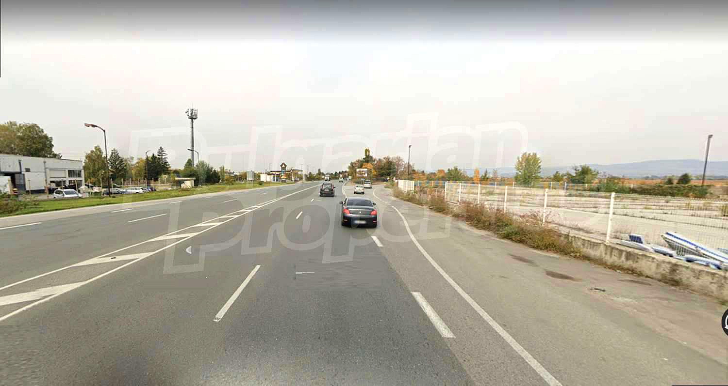 Gallery Picture 10