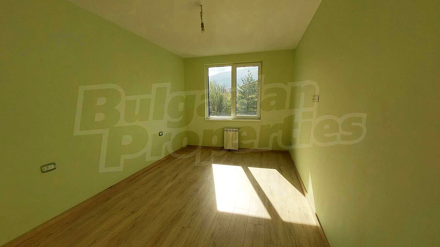 Gallery Picture 18