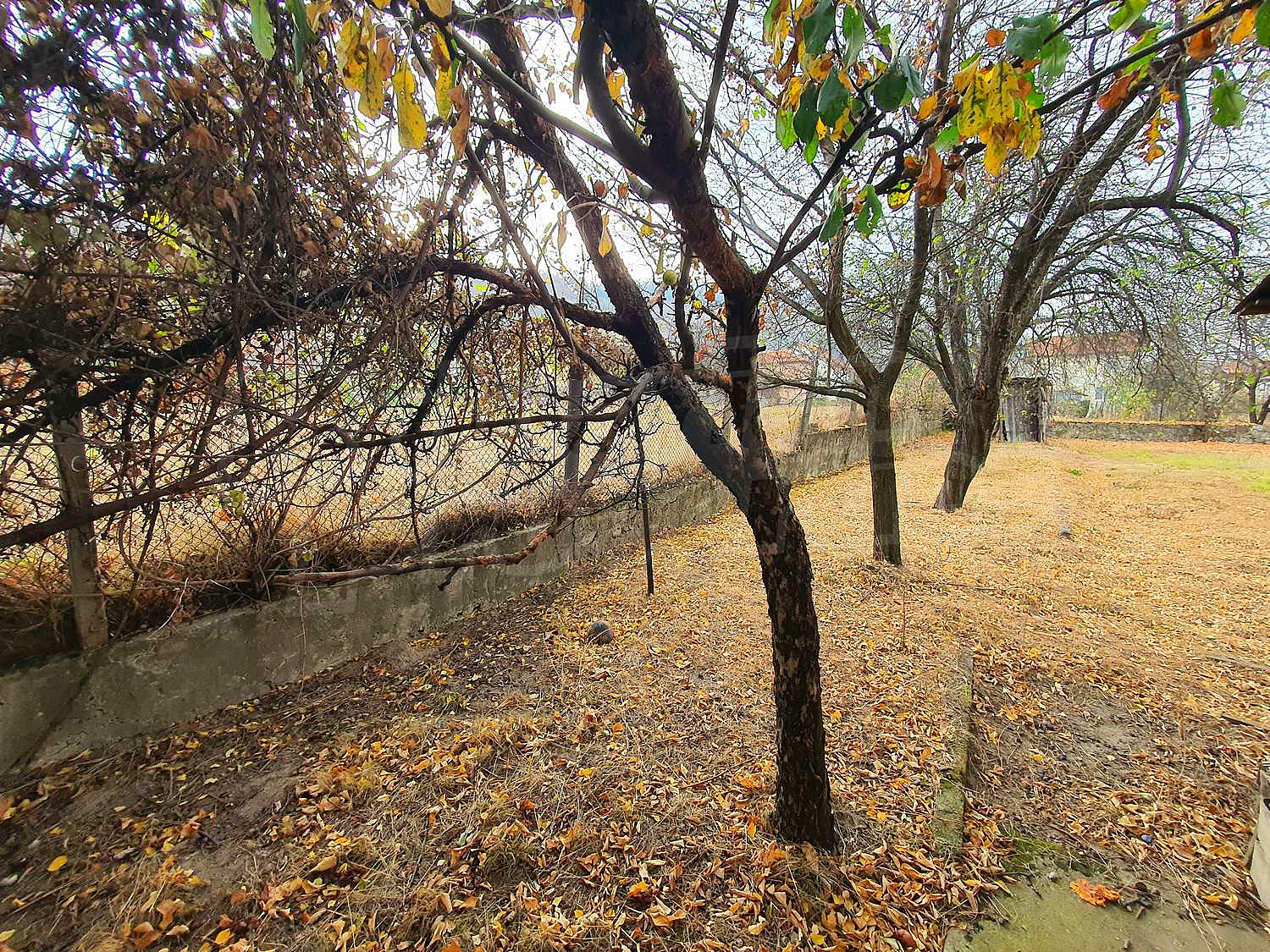 Gallery Picture 12