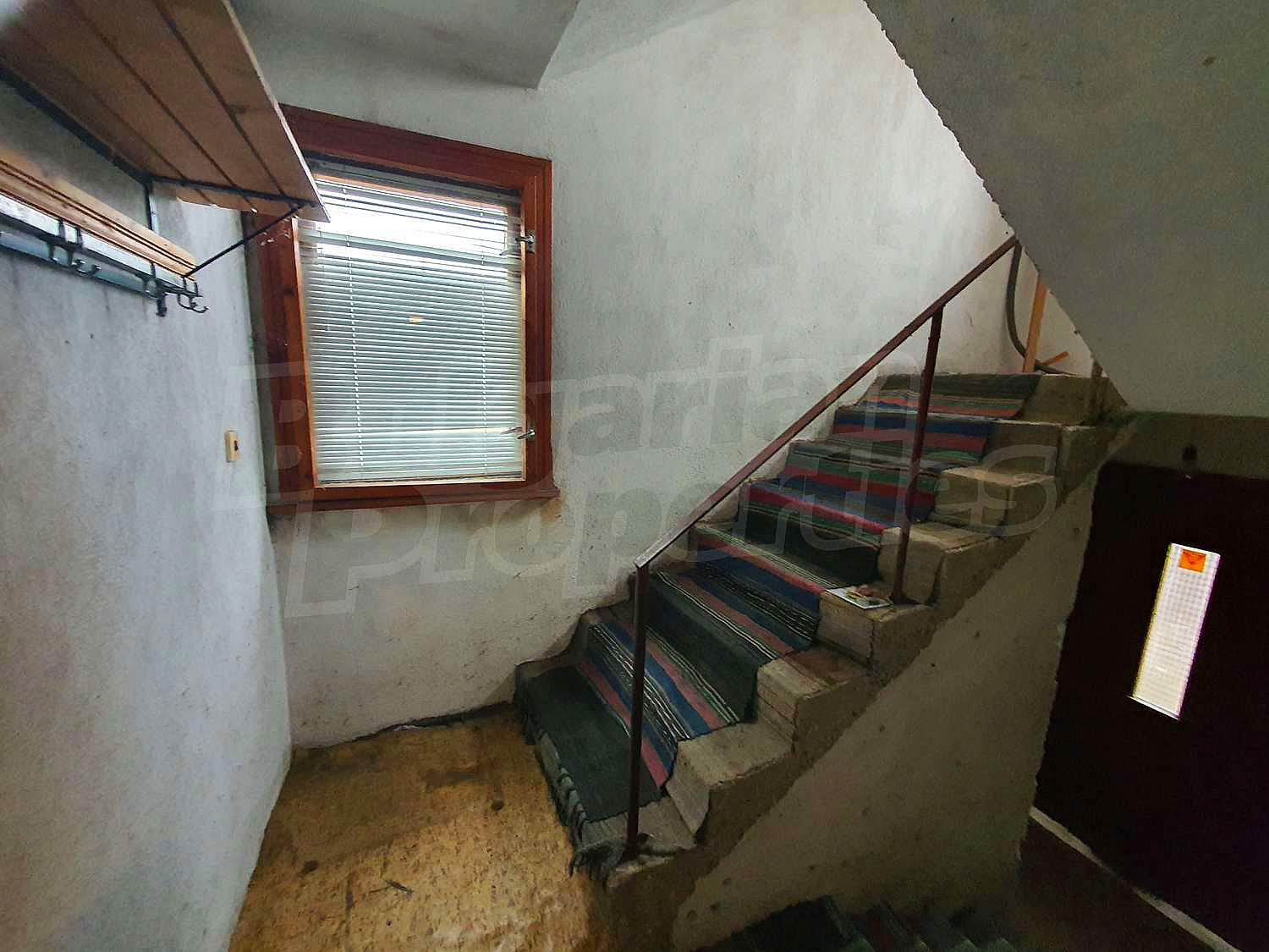 Gallery Picture 16