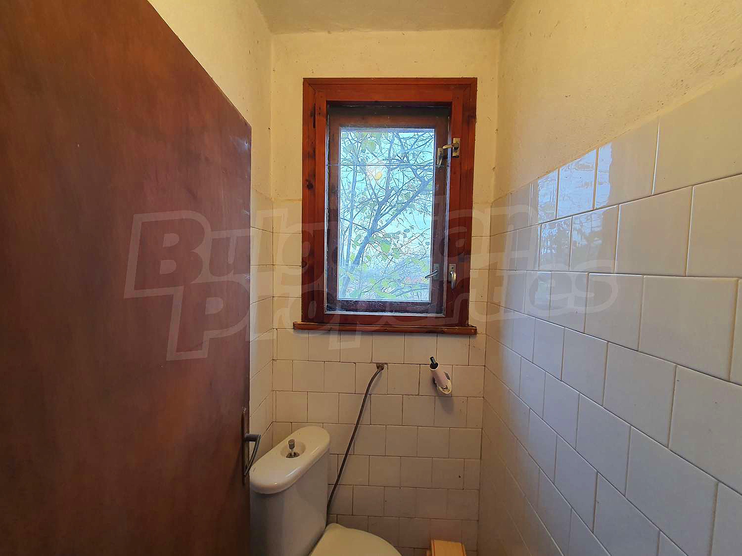 Gallery Picture 21