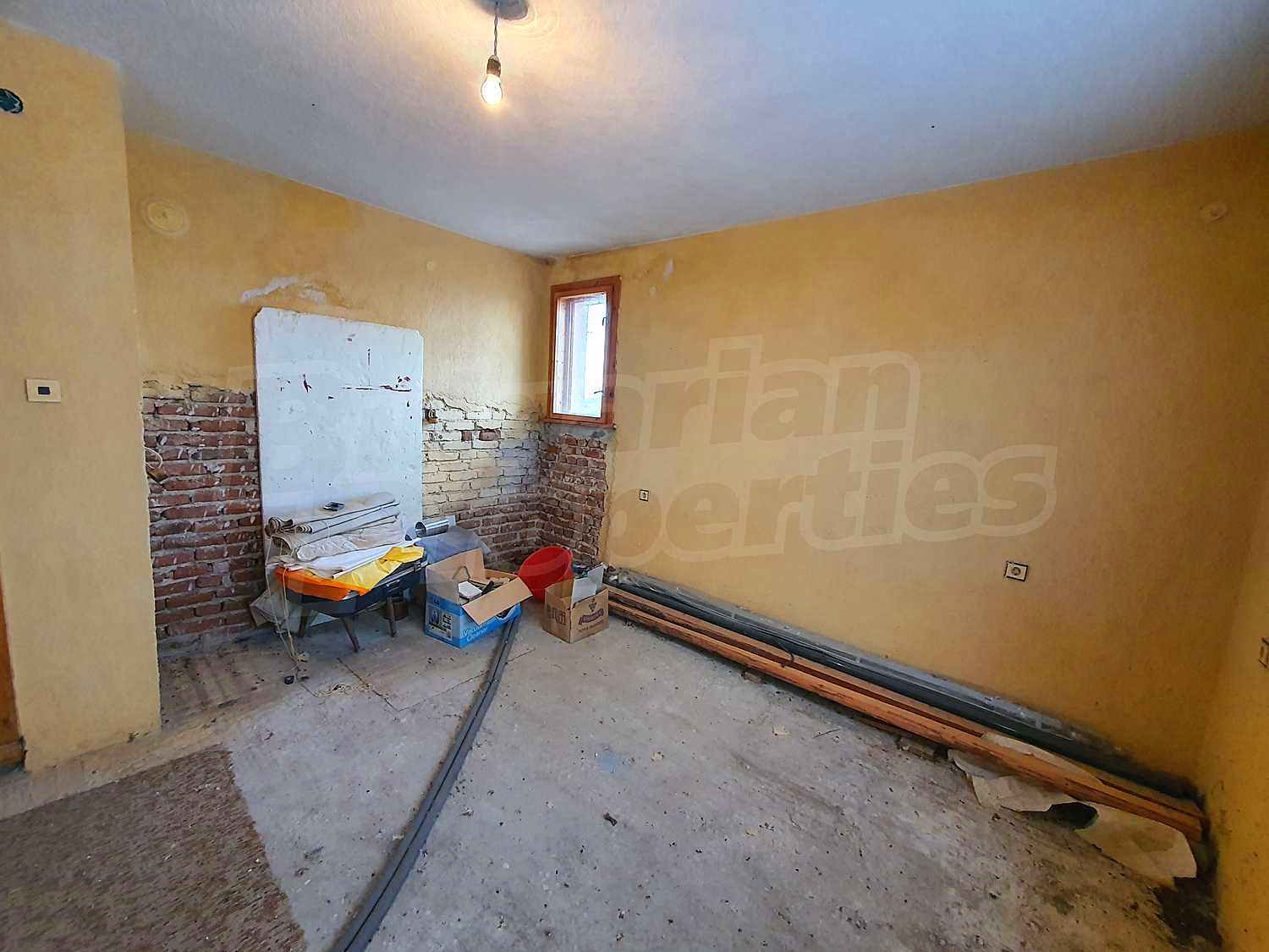 Gallery Picture 37