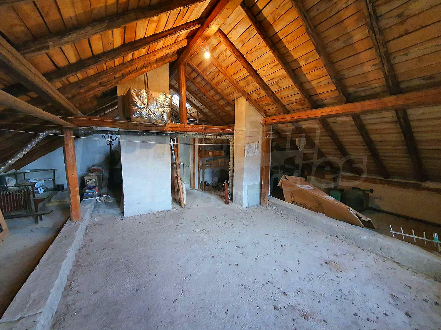 Gallery Picture 45