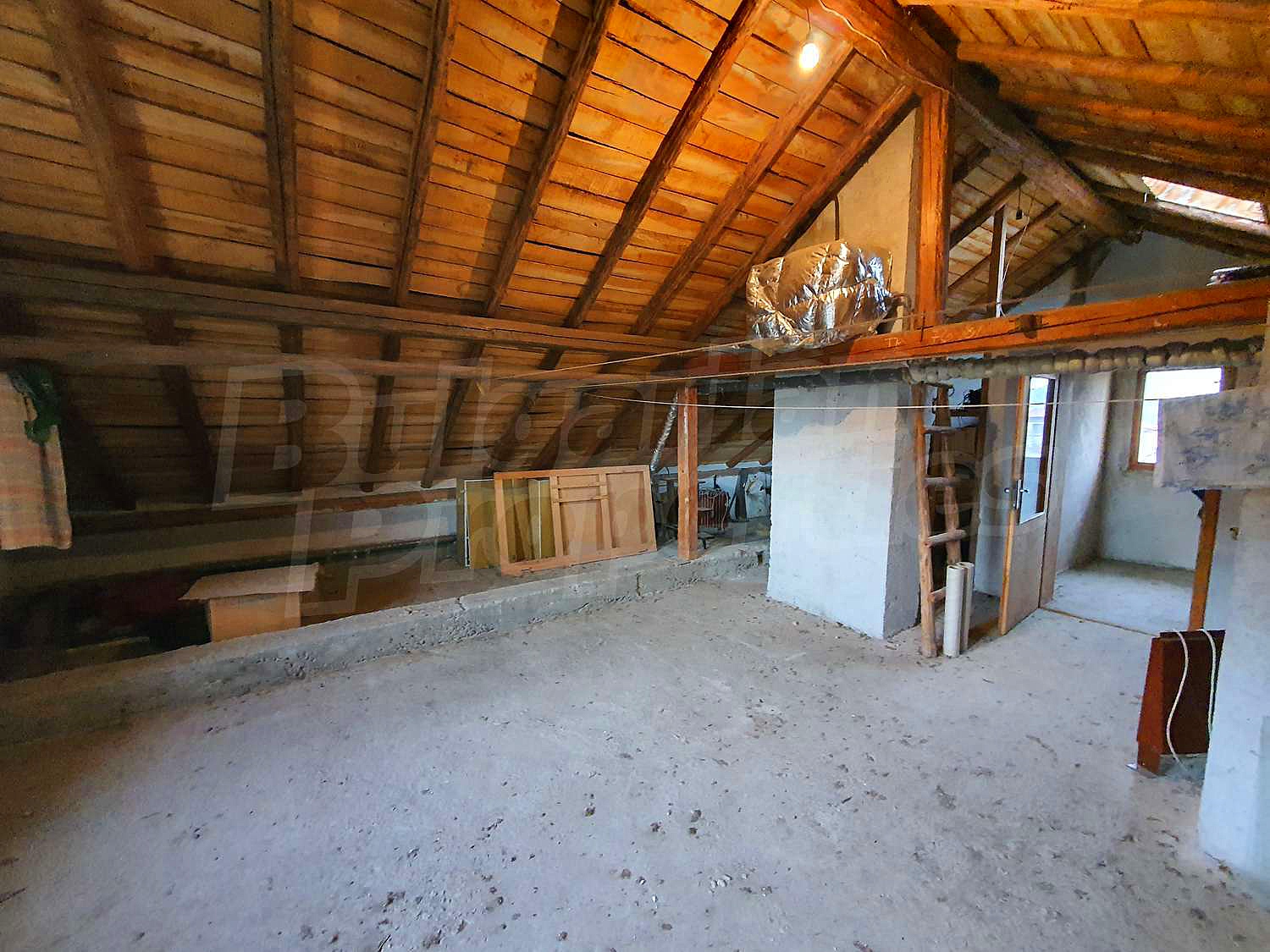 Gallery Picture 46