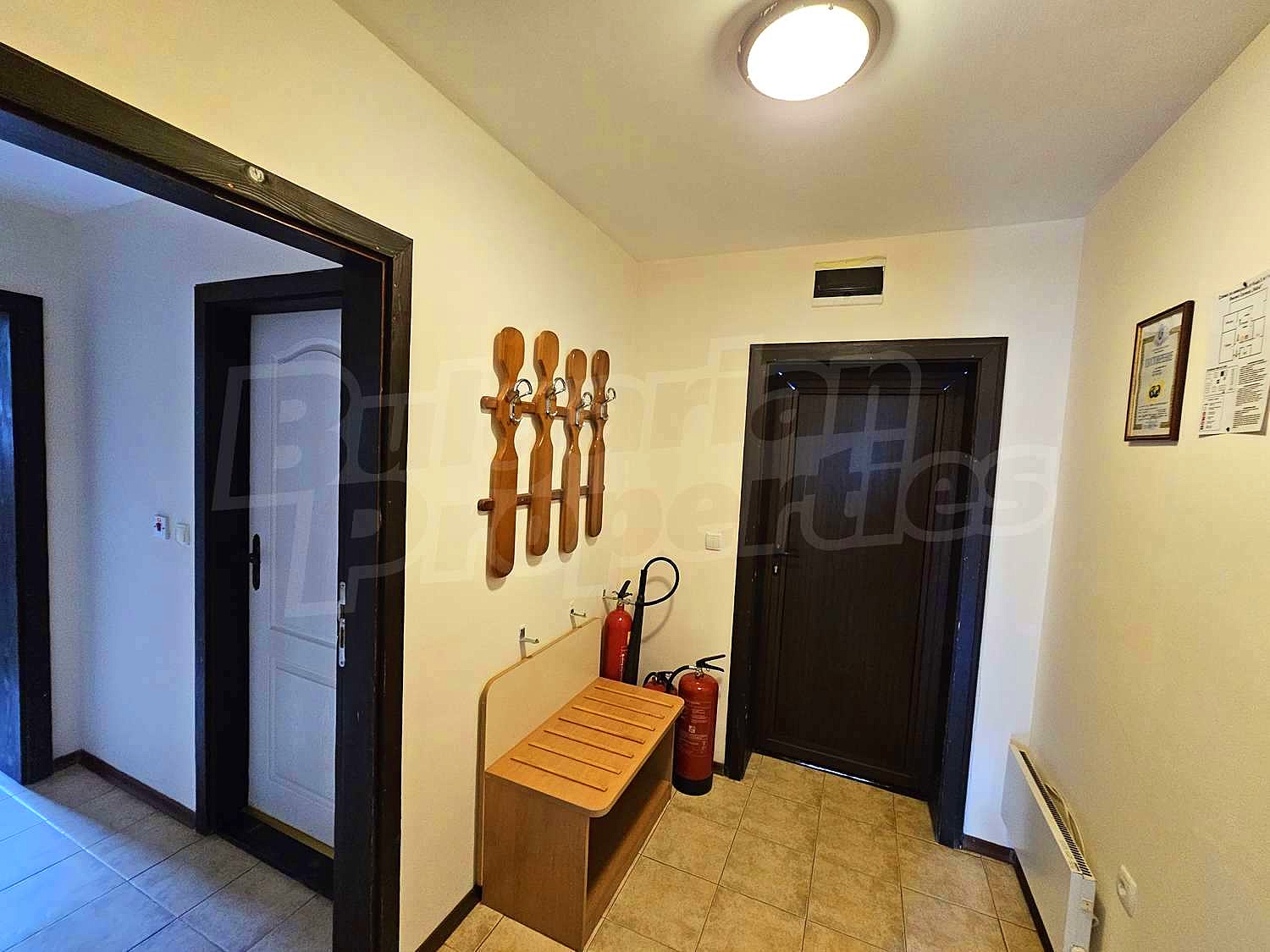 Gallery Picture 37