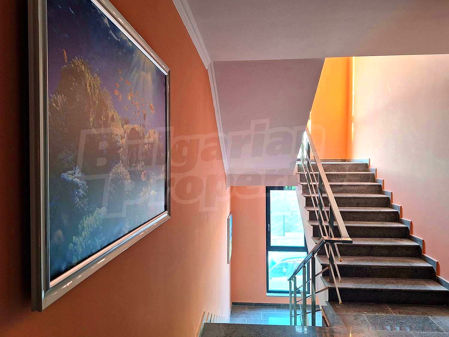 Gallery Picture 4