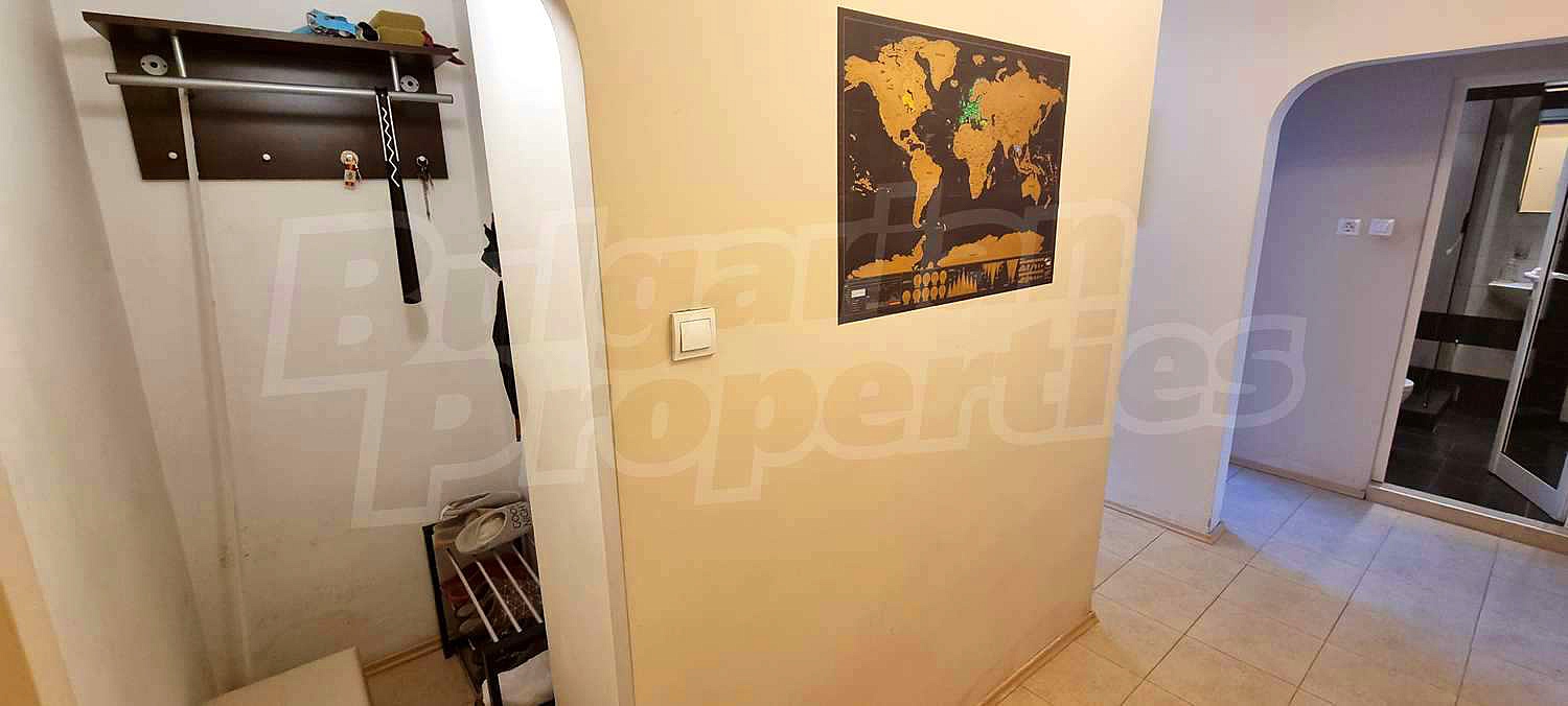 Gallery Picture 14