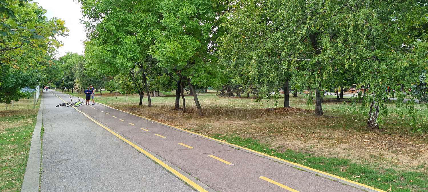 Gallery Picture 25