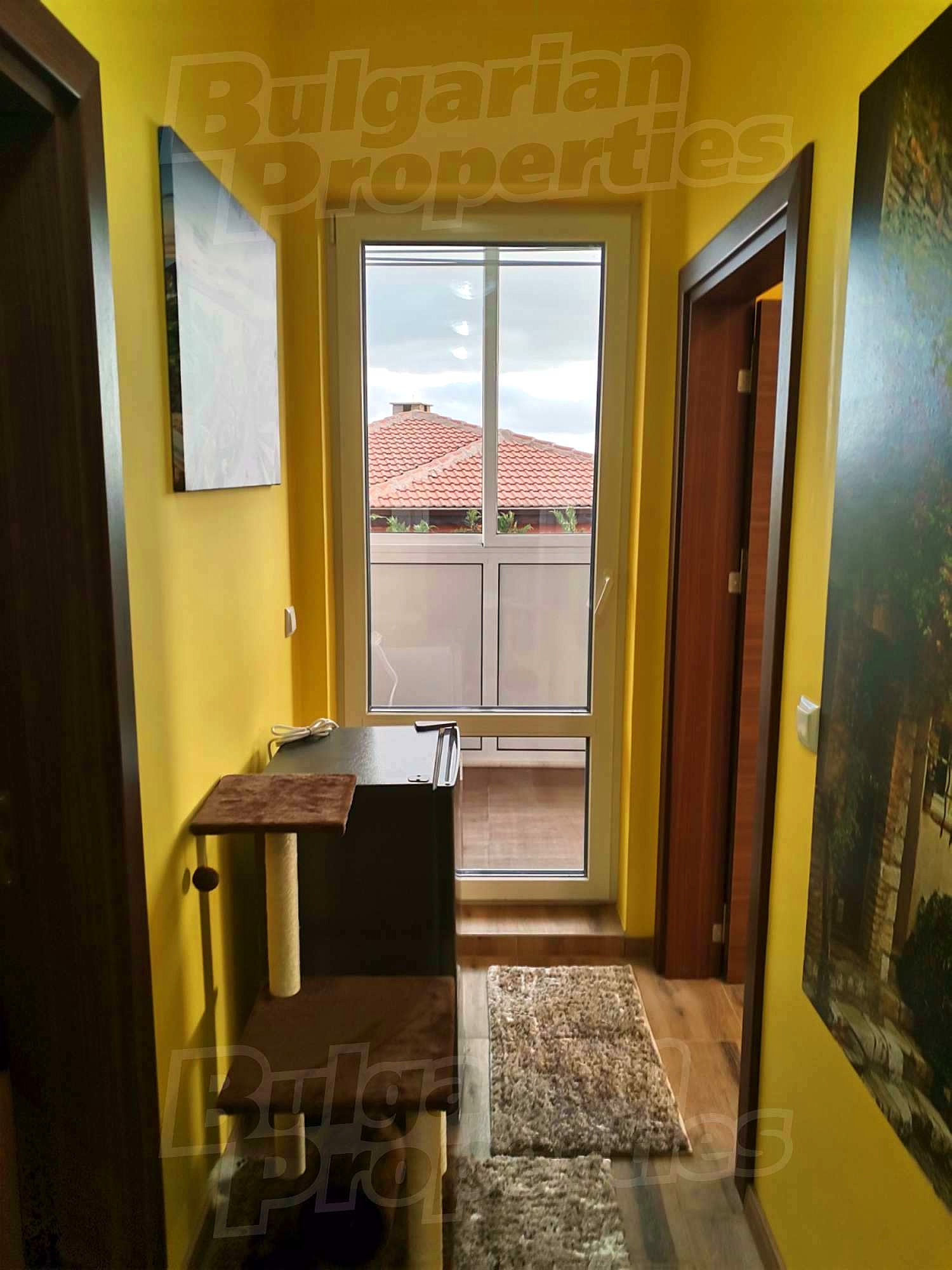 Gallery Picture 16