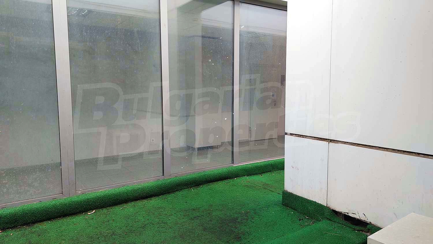 Gallery Picture 6
