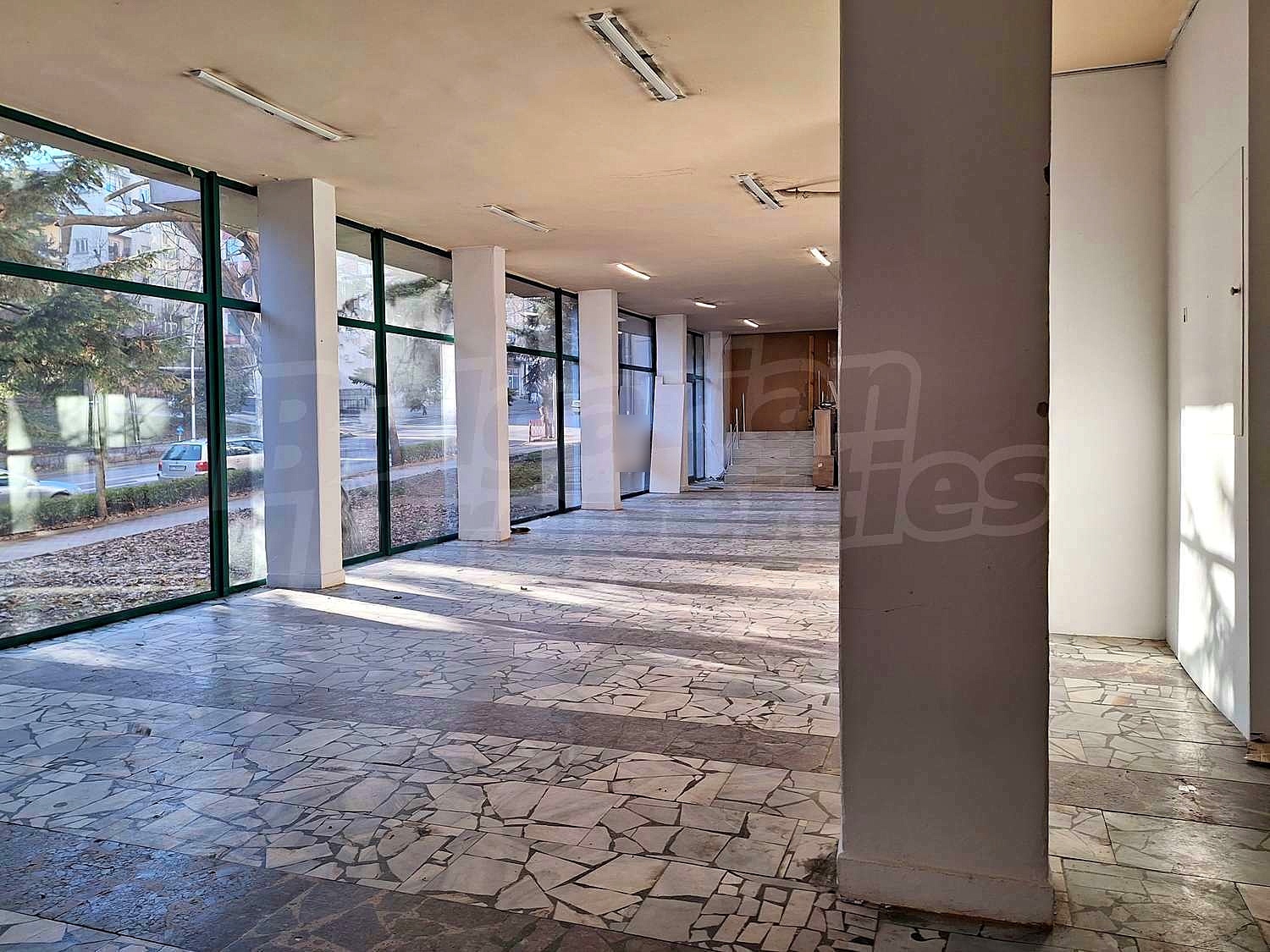 Gallery Picture 15