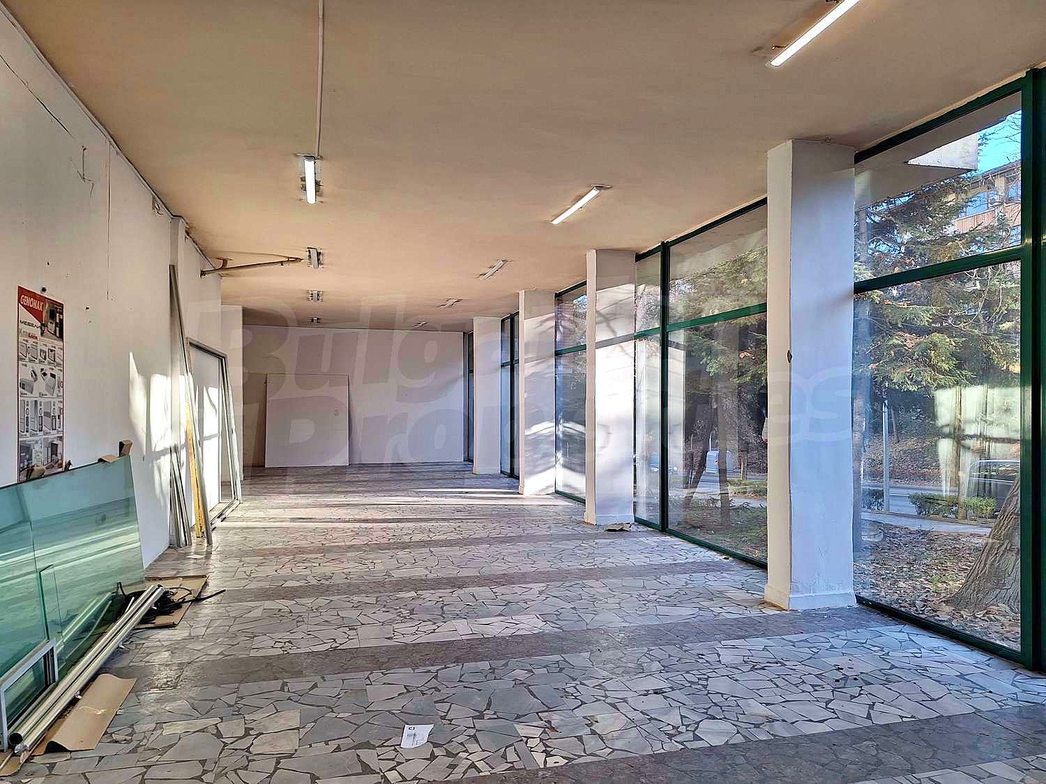 Gallery Picture 16
