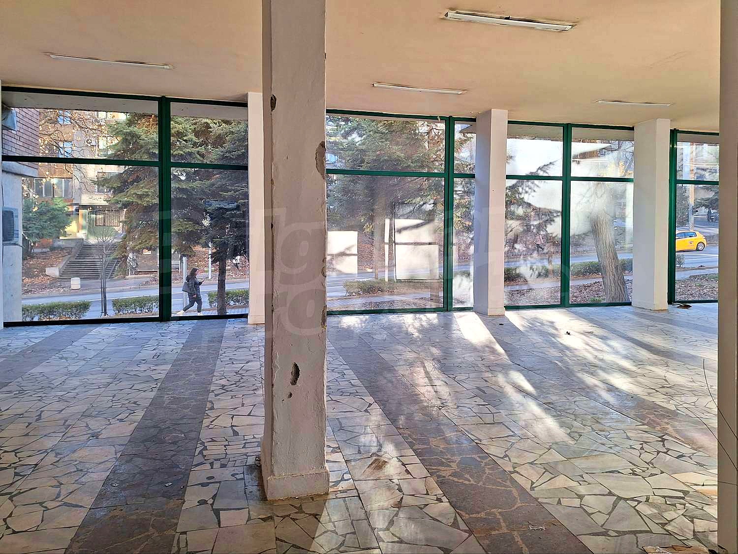 Gallery Picture 18
