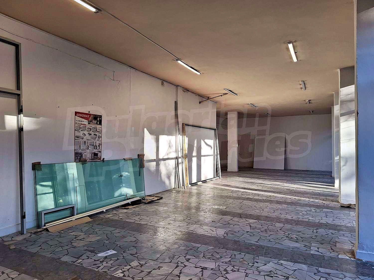 Gallery Picture 10
