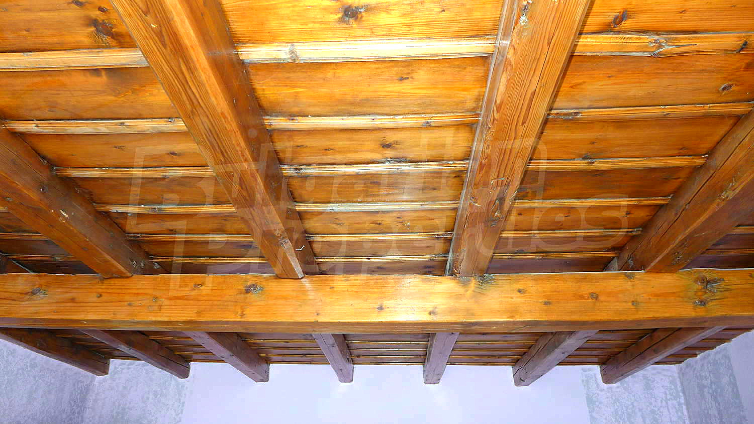 Gallery Picture 15