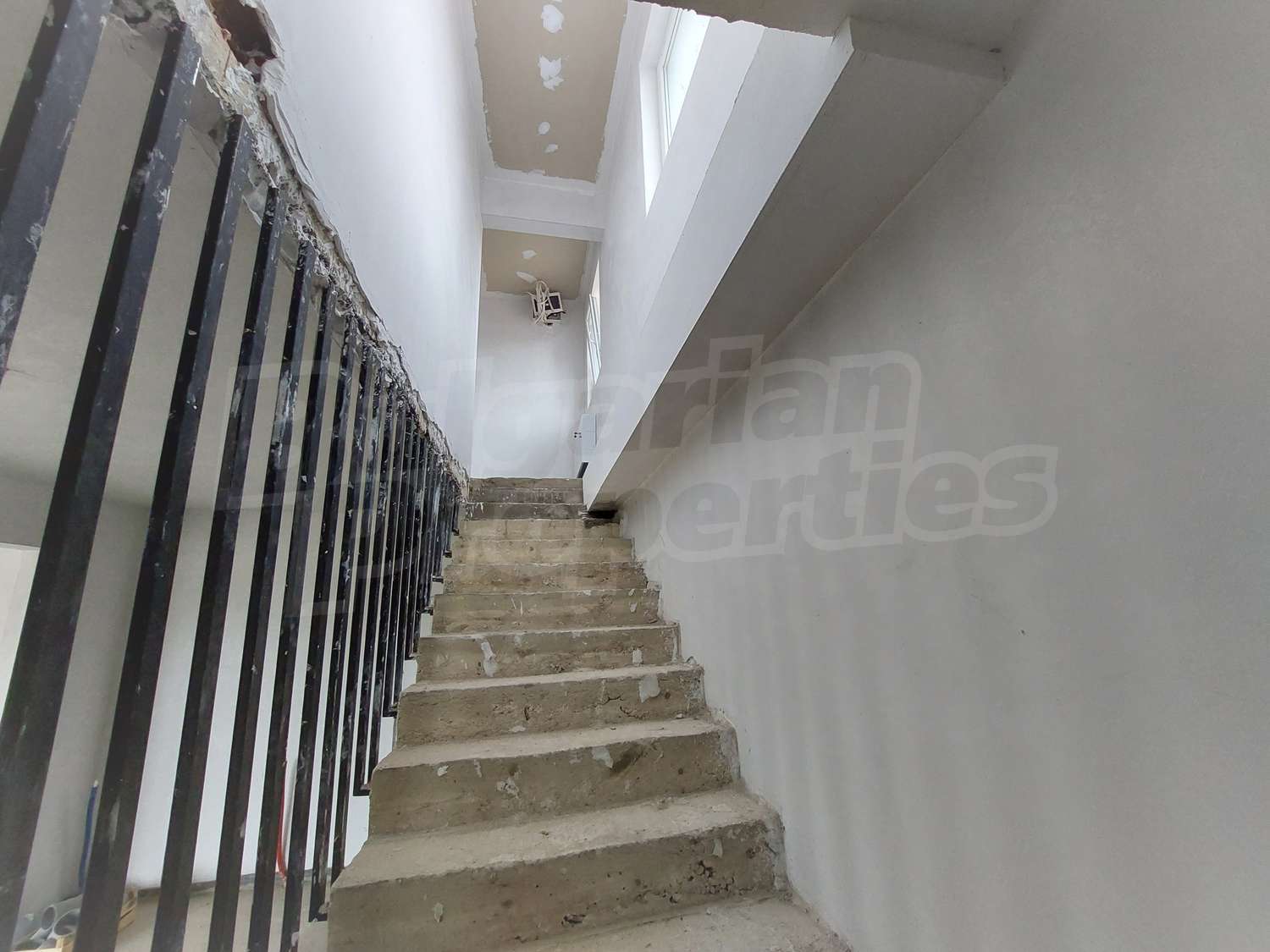 Gallery Picture 14