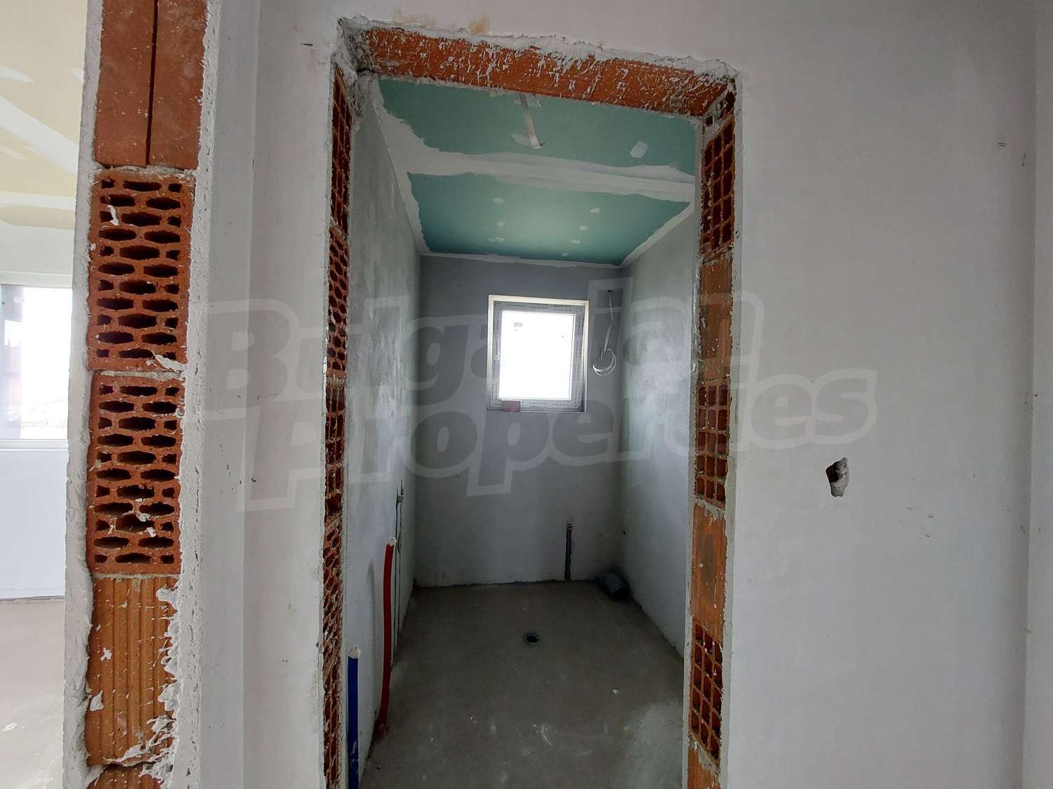 Gallery Picture 19