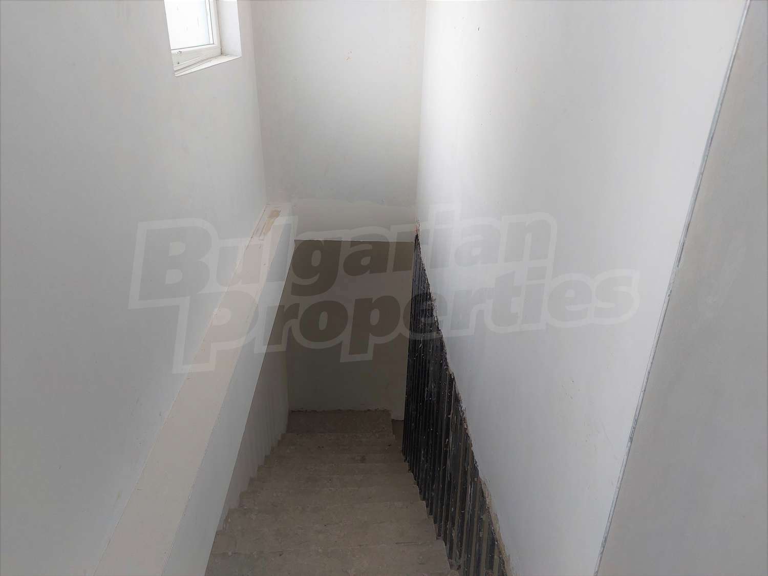 Gallery Picture 23