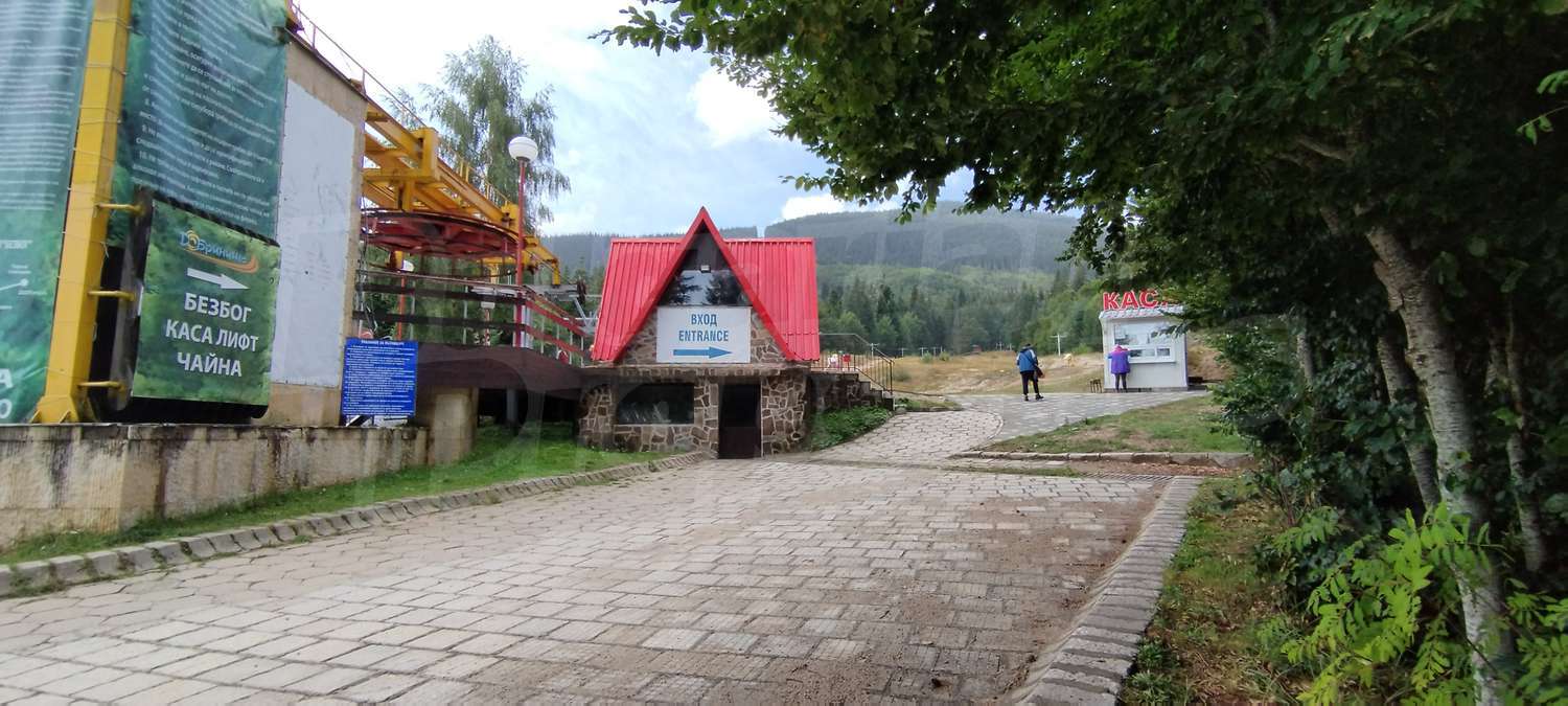 Gallery Picture 27