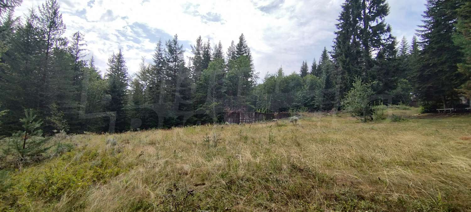 Gallery Picture 15