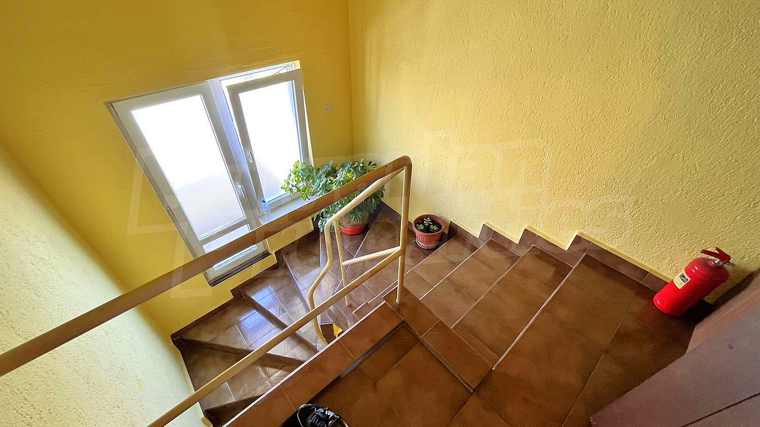 Gallery Picture 45