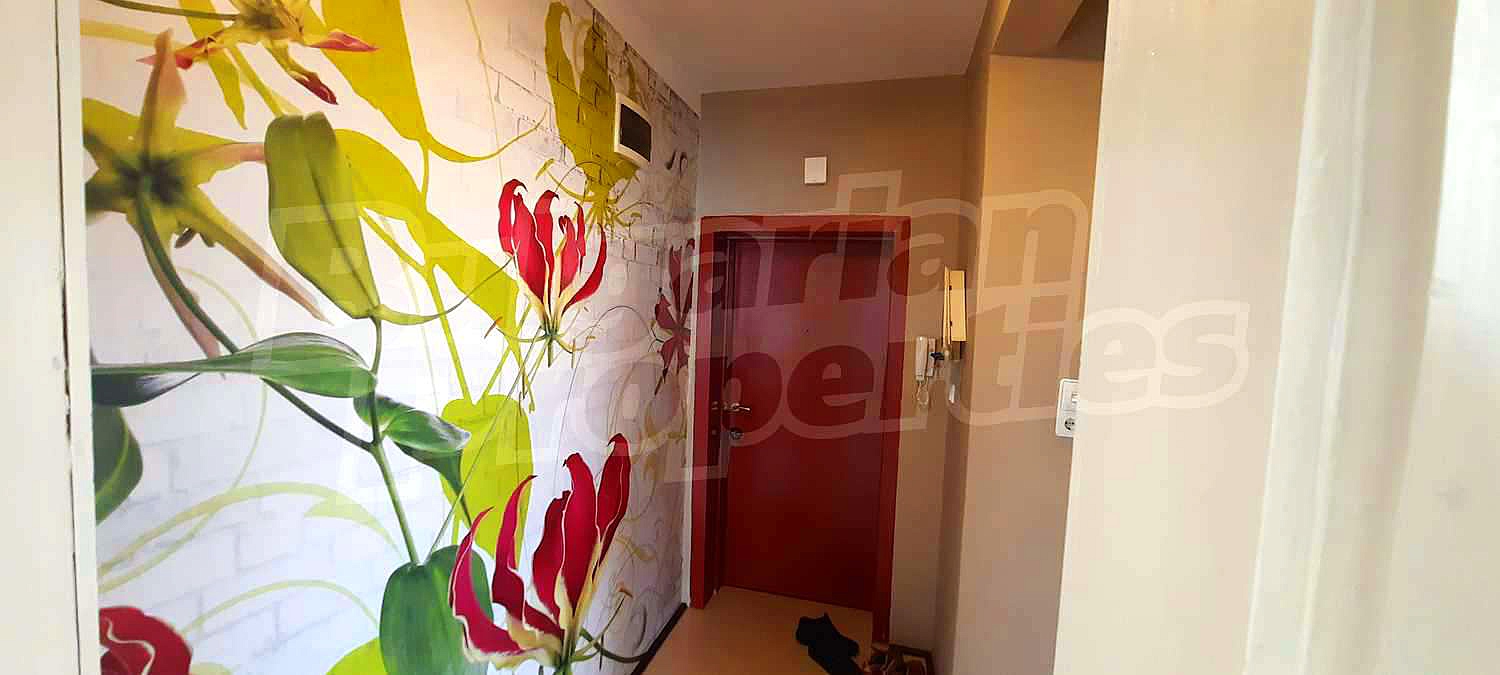 Gallery Picture 17