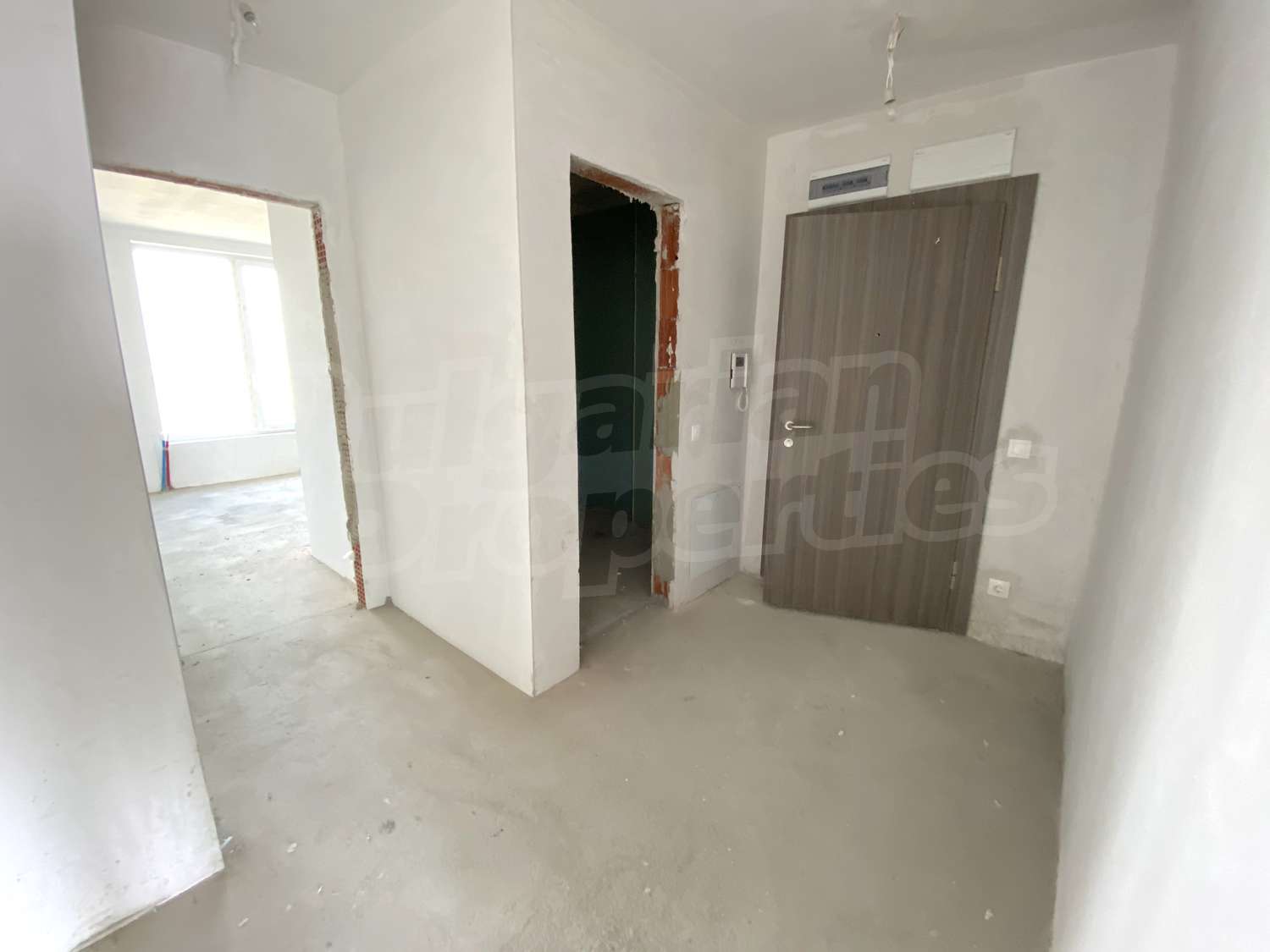 Gallery Picture 43