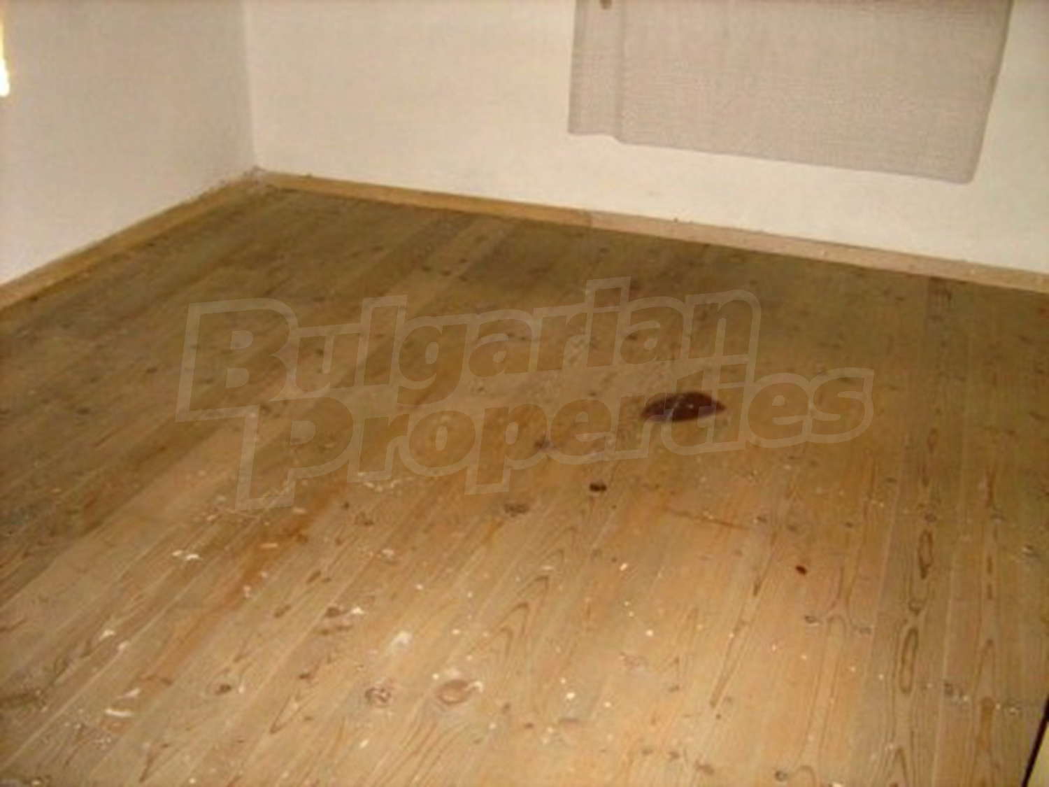 Gallery Picture 11