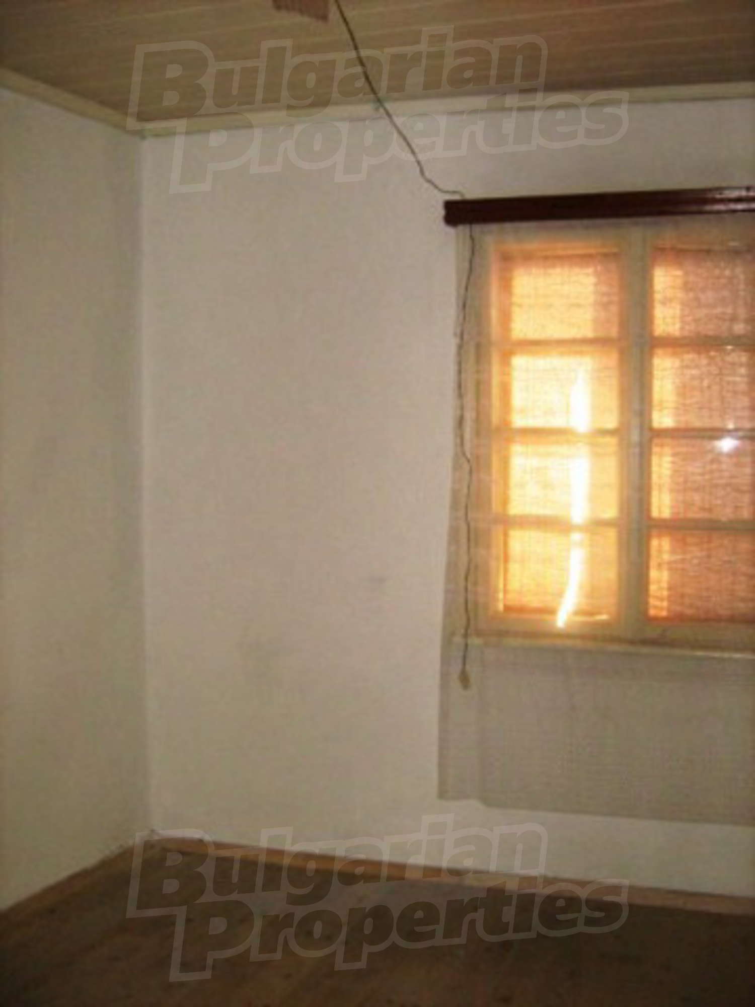 Gallery Picture 13