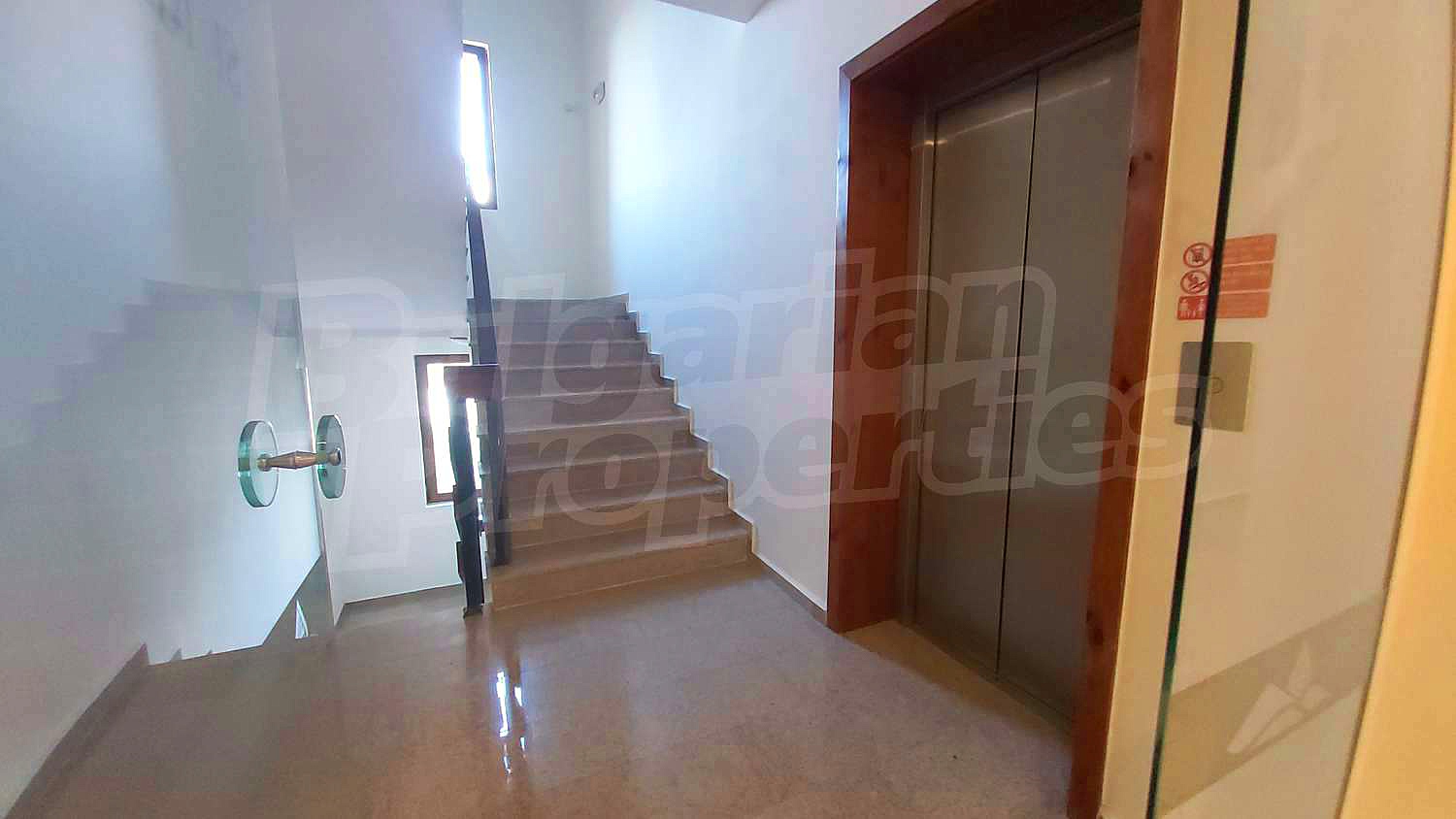 Gallery Picture 12