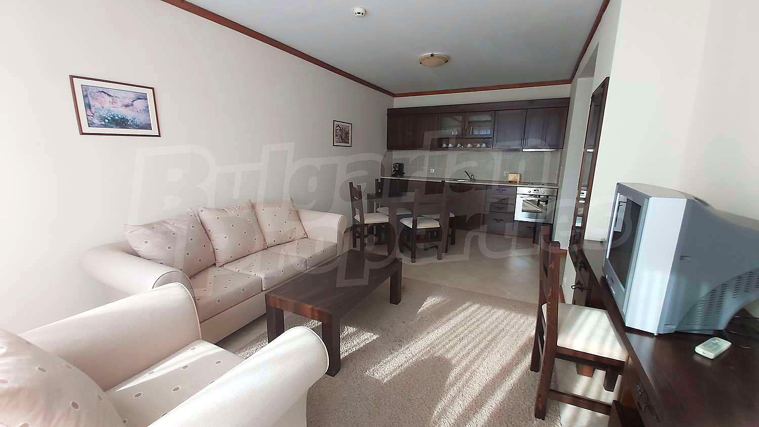 Gallery Picture 8