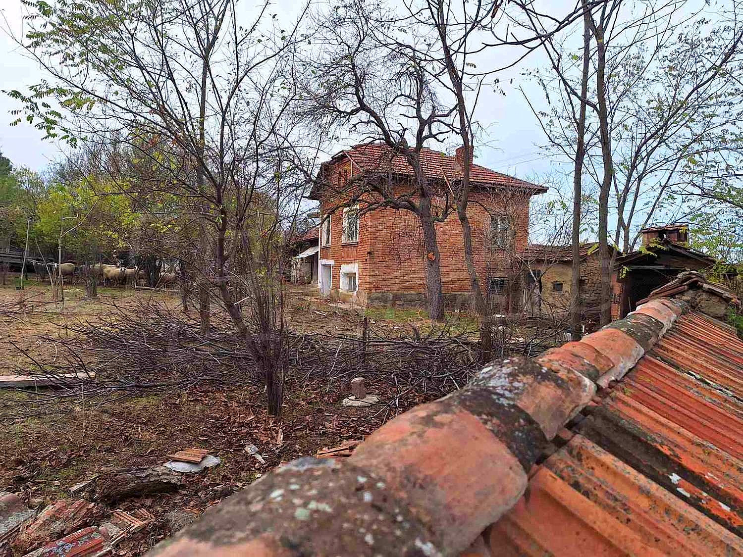 House for sale near Pleven, Bulgaria. House with a large garden in the