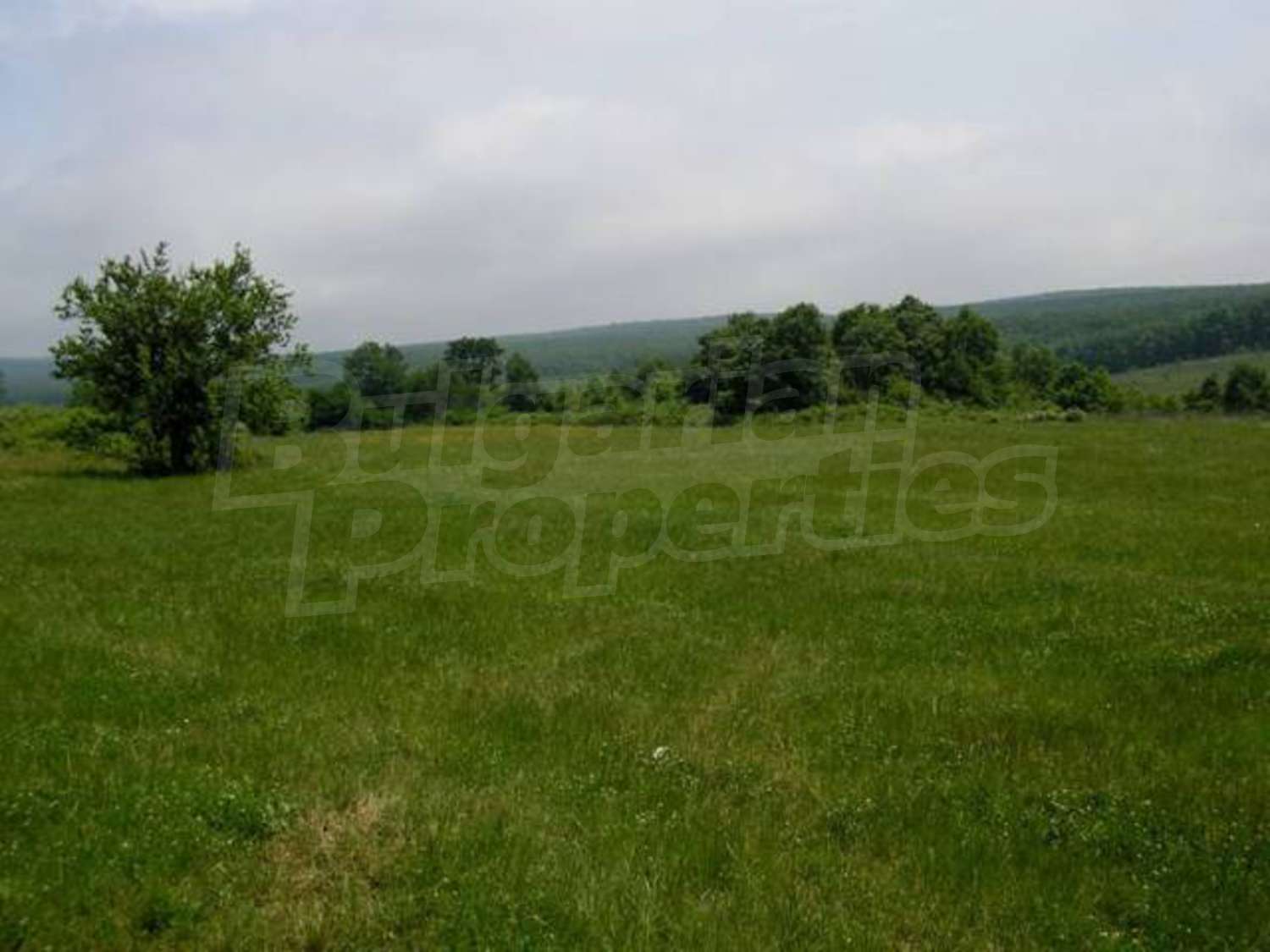 Gallery Picture 25