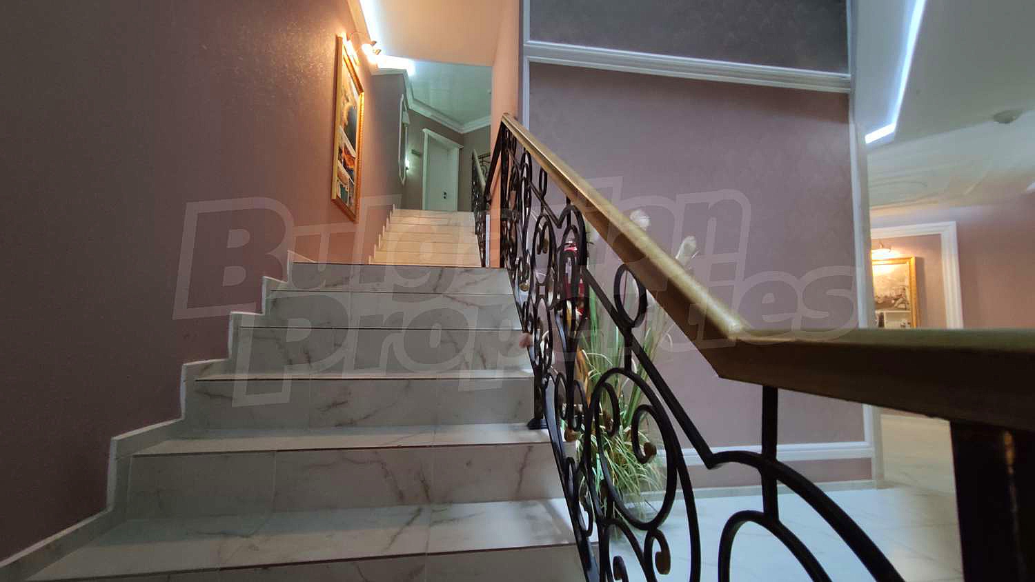 Gallery Picture 14