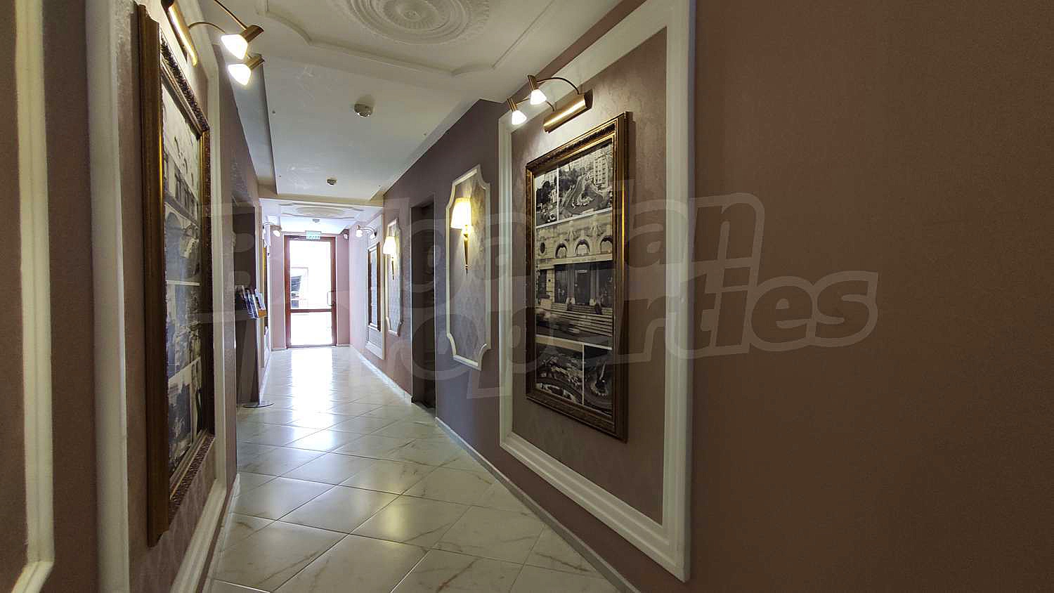 Gallery Picture 15