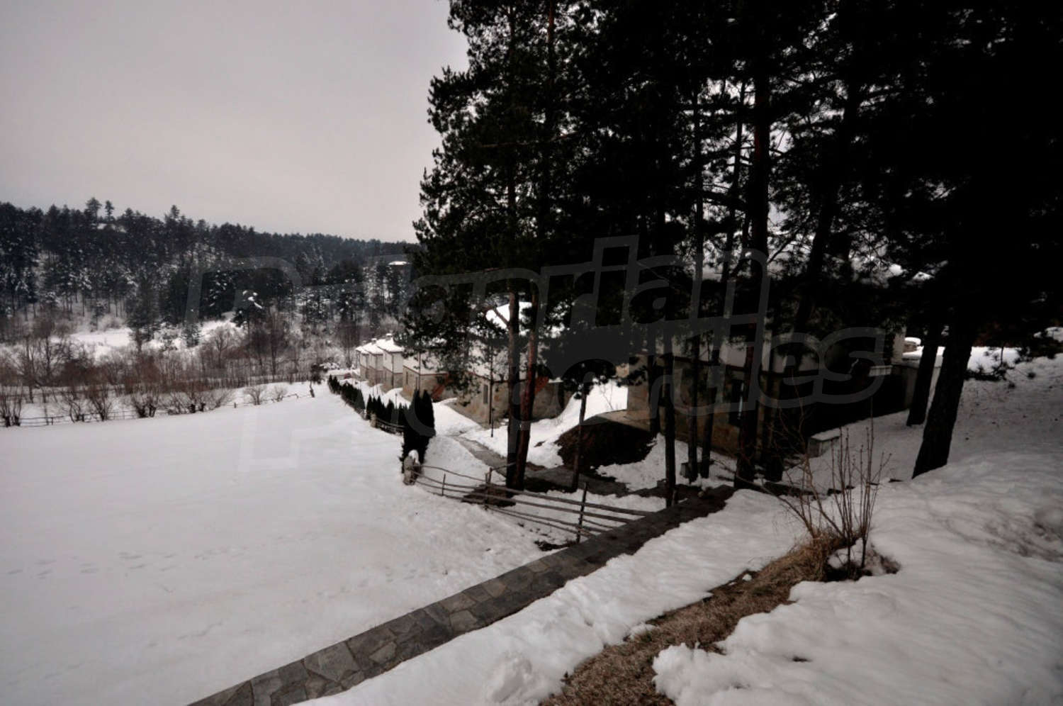 Gallery Picture 43