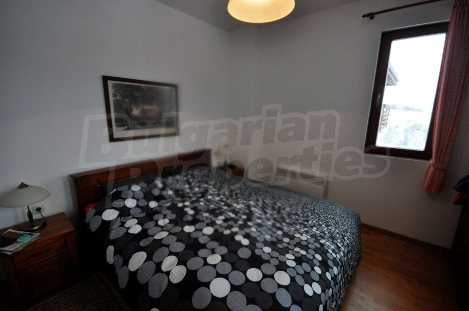 Gallery Picture 22