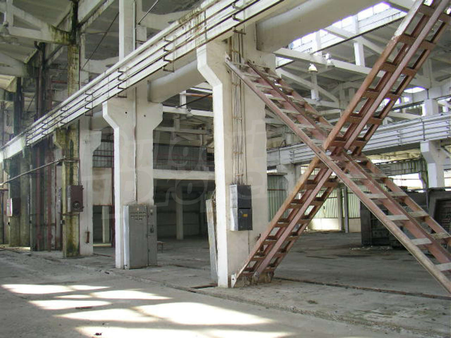 Gallery Picture 8