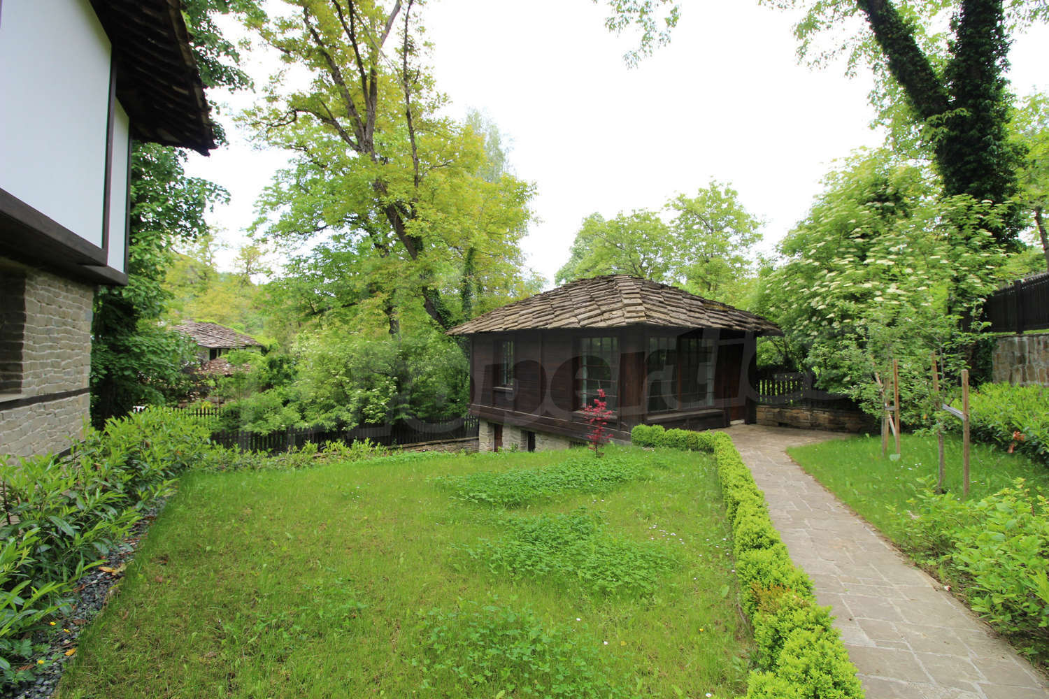 Gallery Picture 10