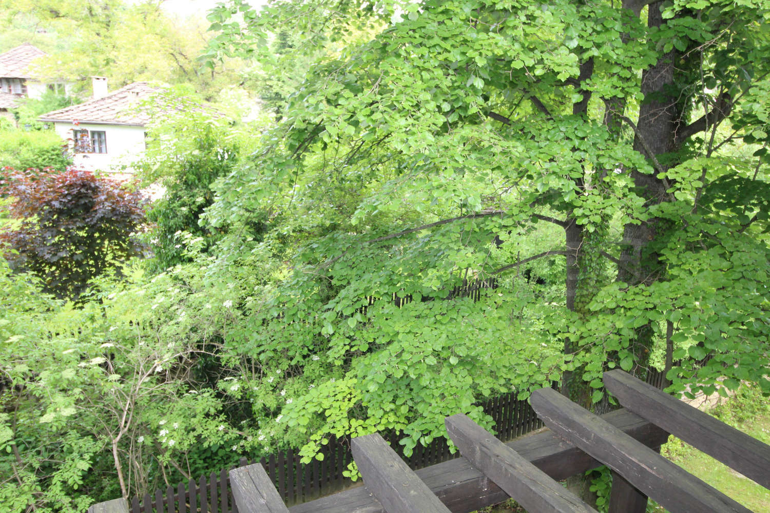 Gallery Picture 26