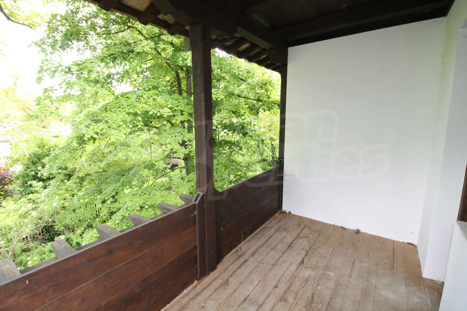 Gallery Picture 27