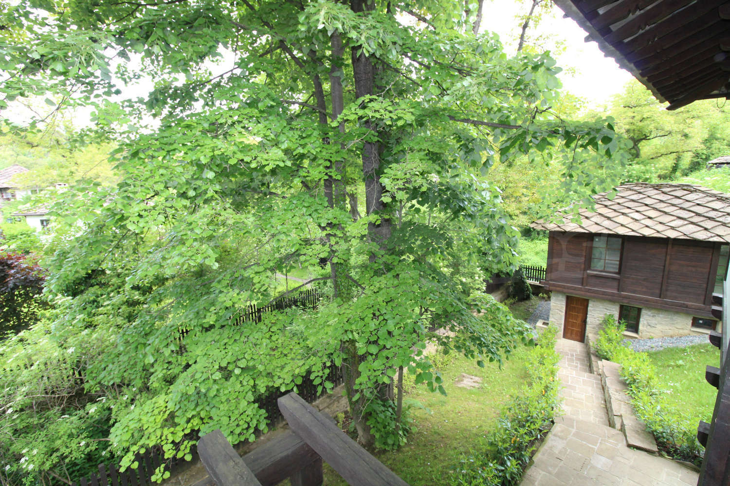 Gallery Picture 28