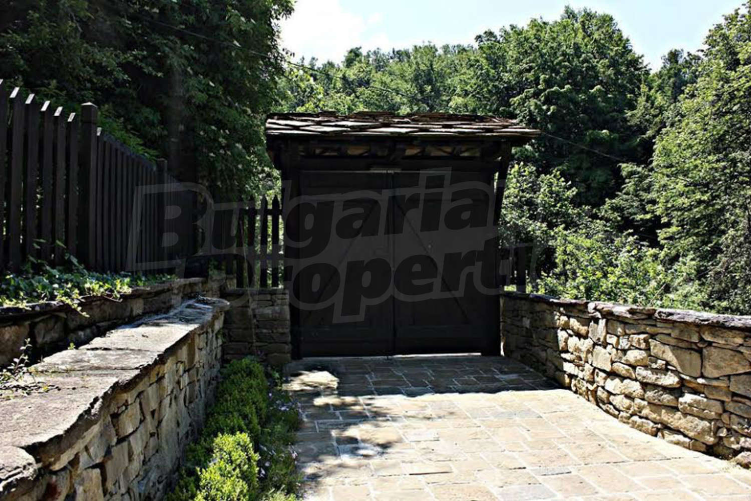 Gallery Picture 45